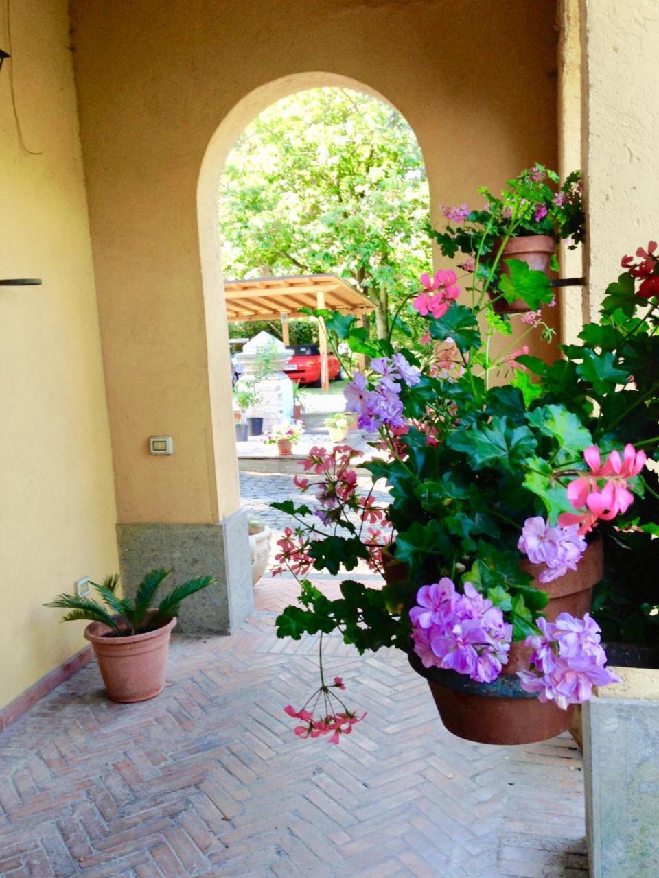 Hotel Borgo Dei Castelli Grottaferrata Exteriér fotografie